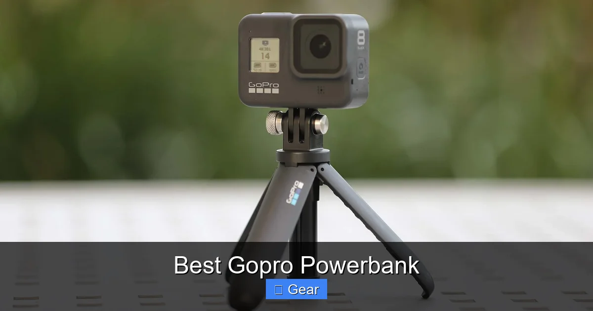 Best Gopro Powerbank