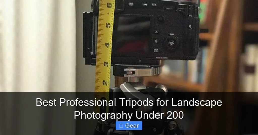 Best Professional Tripods for Landscape Photography Under 200