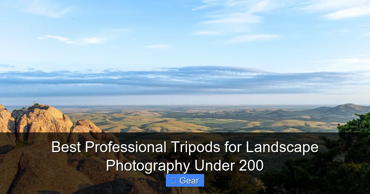 Best Professional Tripods for Landscape Photography Under 200