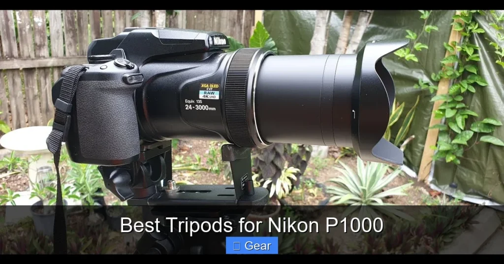 Best Tripods for Nikon P1000