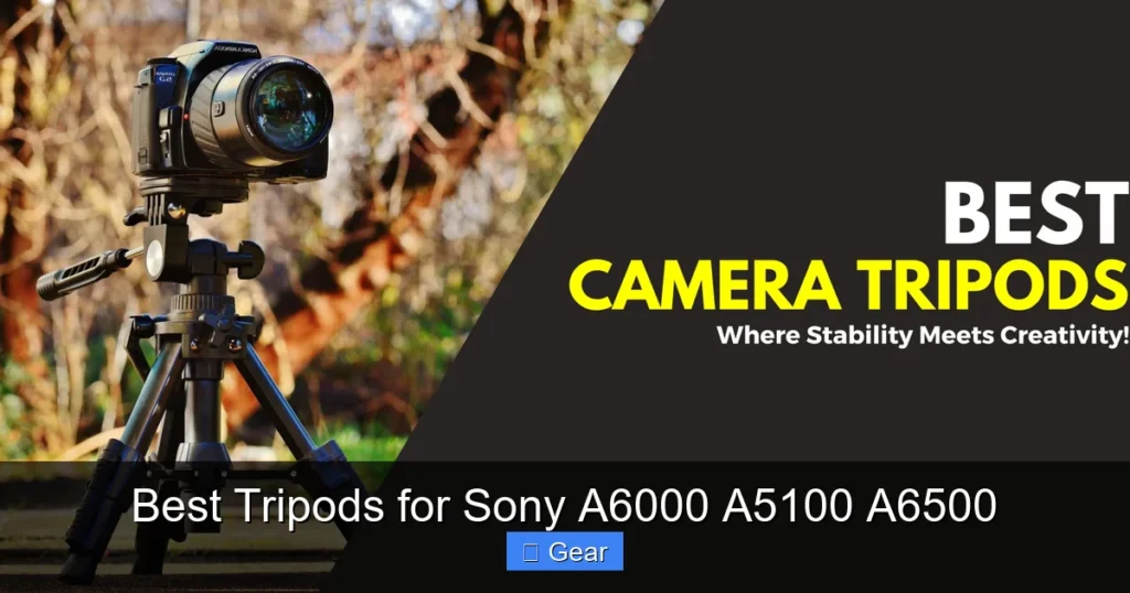 Best Tripods for Sony A6000 A5100 A6500