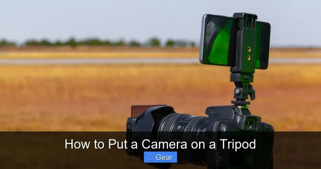 How to Put a Camera on a Tripod