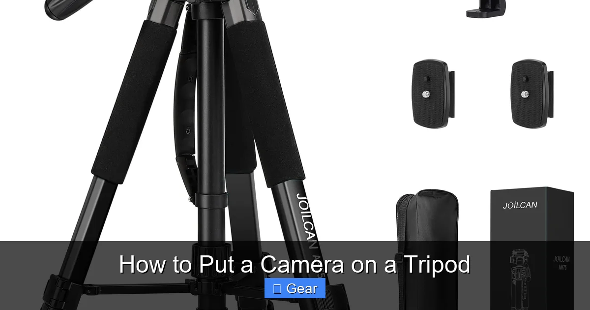 How to Put a Camera on a Tripod