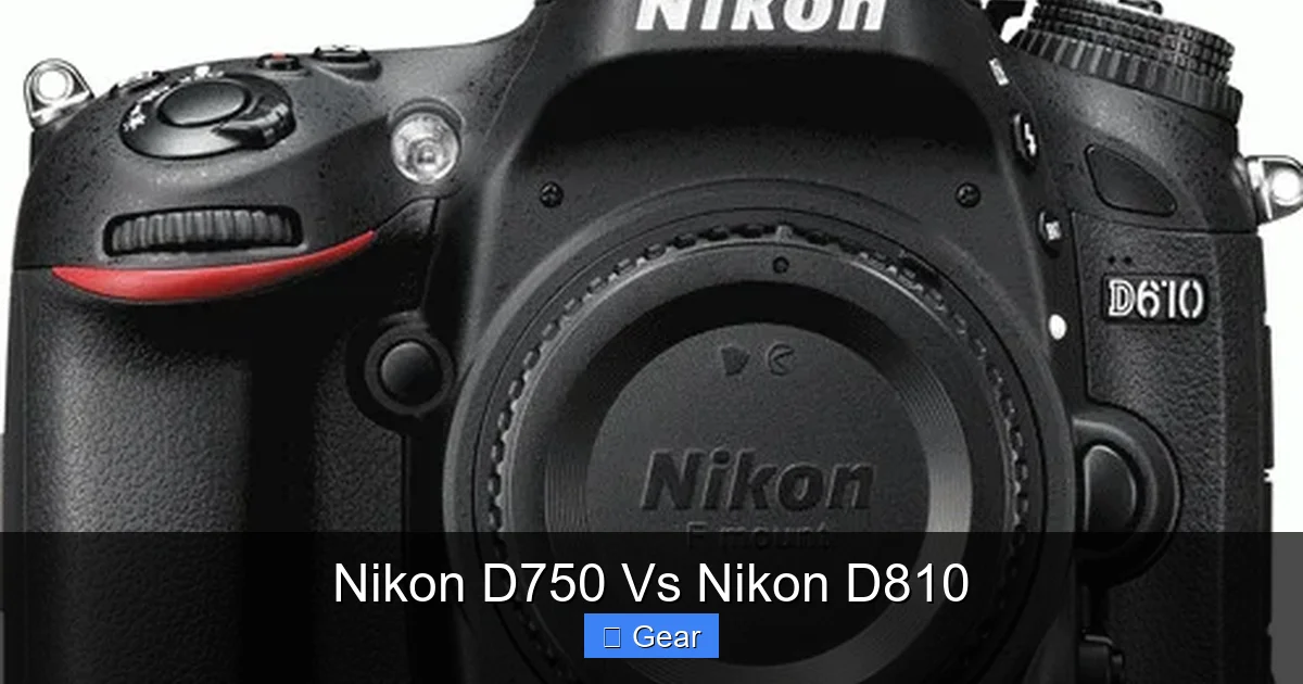 Nikon D750 Vs Nikon D810